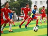 尼克斯VS马刺直播_尼克斯VS马刺直播在线观看_布雷西亚直播